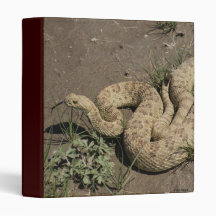 R0006 Prairie Rattlesnake binder