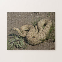 R0006 Prairie Rattlesnake Jigsaw Puzzles