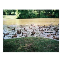 R1-21A POST CARDS