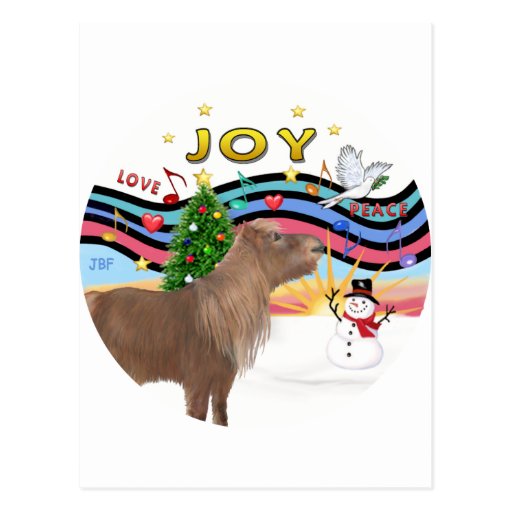R-XmasMusic 1 -Shetland Pony Post Cards