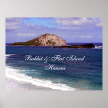 Rabbit and Flat Island canvas print