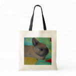 rabbit bag