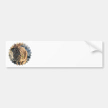 Rabbit Bumper Sticker