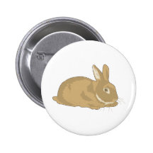 Rabbit Button