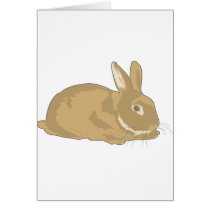 Rabbit Greeting Cards