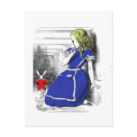 Rabbit Come Back Post Cards