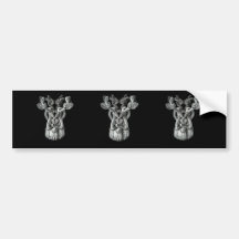 Rabbit-ear barnacle bumper stickers