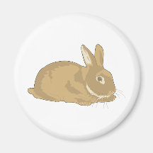 Rabbit Fridge Magnet