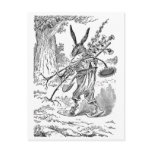 Rabbit Gardener with Shovel & Uprooted Plants Post Card