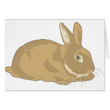 Rabbit Greeting Card