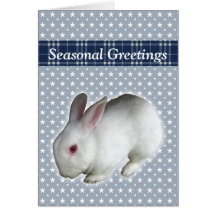 Rabbit Greeting Cards