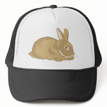 Rabbit Hat