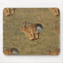 Rabbit Hopping Mouse Pad