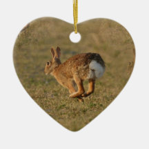 Rabbit Hopping Ornament