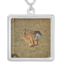 Rabbit Hopping Sterling Silver Necklace
