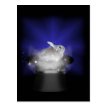 Rabbit  in the Magic Hat Post Card