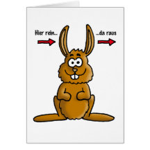 Rabbit input output karten