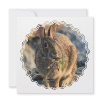 Rabbit Invitation