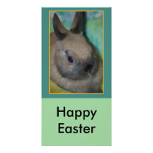 rabbit invite, Happy Easter Photo Card Template
