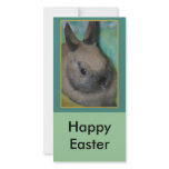 rabbit invite, Happy Easter Photo Card Template