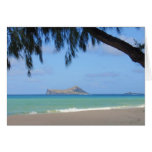 Rabbit Island Card