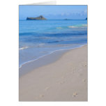 Rabbit Island Greeting Cards