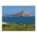 Rabbit Island Oahu Hawaii Postcard