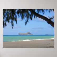 Rabbit Island Posters