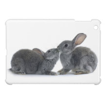 Rabbit Kiss