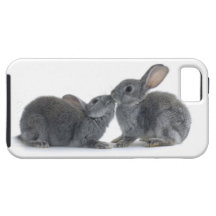 Rabbit Kiss