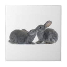 Rabbit Kiss Ceramic Tile