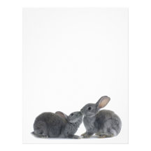 Rabbit Kiss Customized Letterhead