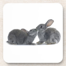 Rabbit Kiss Drink Coaster