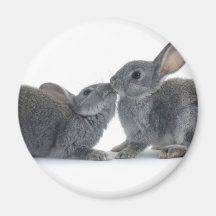 Rabbit Kiss Fridge Magnet