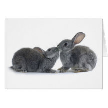 Rabbit Kiss Greeting Card