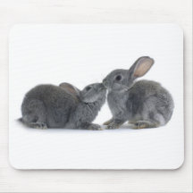 Rabbit Kiss Mouse Pads