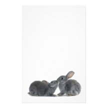 Rabbit Kiss Personalized Stationery