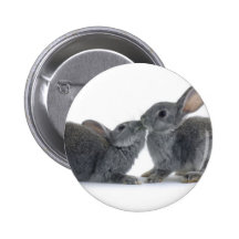 Rabbit Kiss Pin