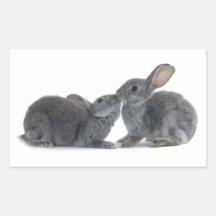 Rabbit Kiss Rectangle Stickers