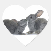 Rabbit Kiss Sticker