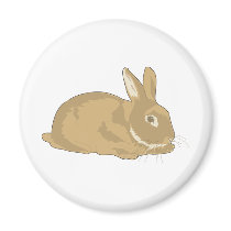 Rabbit Fridge Magnet