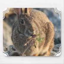 Rabbit Mouse Pad