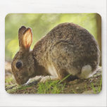 Rabbit Mousepad
