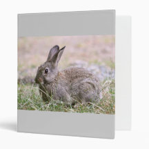 Rabbit Picture Vinyl Binders