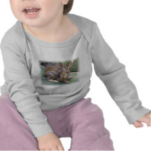 Rabbit Pictures Infant T Shirts
