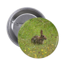 Rabbit Pinback Button