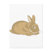 Rabbit Post Cards