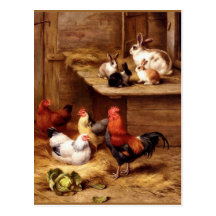Rabbit rooster hens farm animals bunnies post card