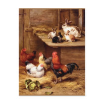 Rabbit rooster hens farm animals bunnies post card