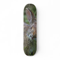 Rabbit Skate Deck